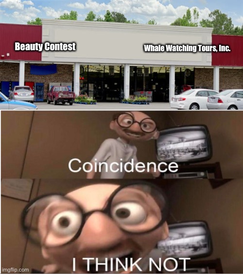 Coincidence? | Beauty Contest; Whale Watching Tours, Inc. | image tagged in supermarket | made w/ Imgflip meme maker