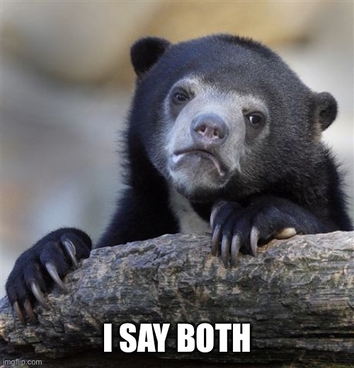 Confession Bear Meme | I SAY BOTH | image tagged in memes,confession bear | made w/ Imgflip meme maker