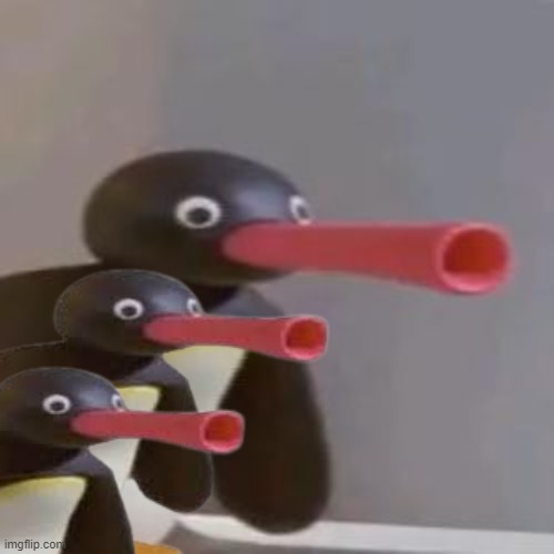 NOOT NOOT VOLLEY FIRE | image tagged in noot noot | made w/ Imgflip meme maker