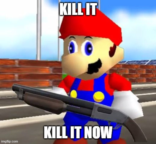 SMG4 Shotgun Mario | KILL IT KILL IT NOW | image tagged in smg4 shotgun mario | made w/ Imgflip meme maker