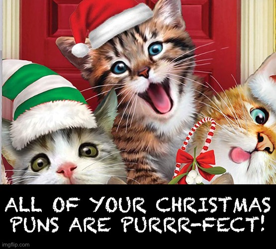ALL OF YOUR CHRISTMAS PUNS ARE PURRR-FECT! | made w/ Imgflip meme maker
