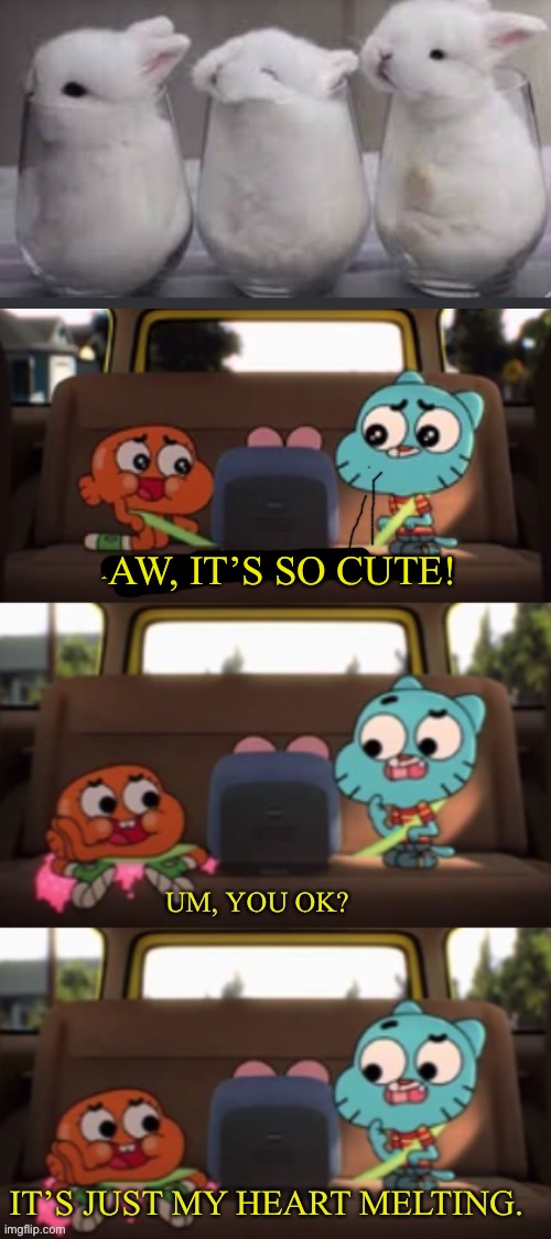 AW, IT’S SO CUTE! | made w/ Imgflip meme maker