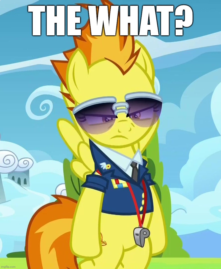 Concerned Spitfire (MLP) | THE WHAT? | image tagged in concerned spitfire mlp | made w/ Imgflip meme maker