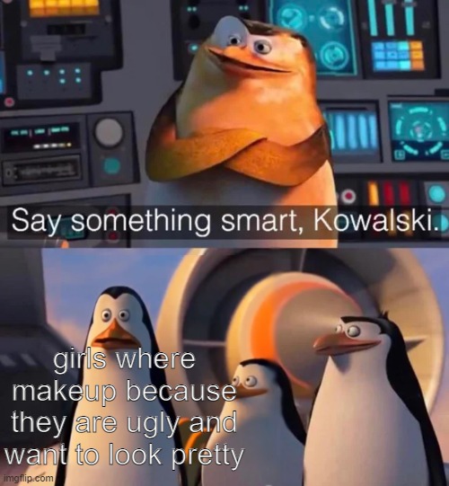 hi | girls where makeup because they are ugly and want to look pretty | image tagged in say something smart kowalski | made w/ Imgflip meme maker