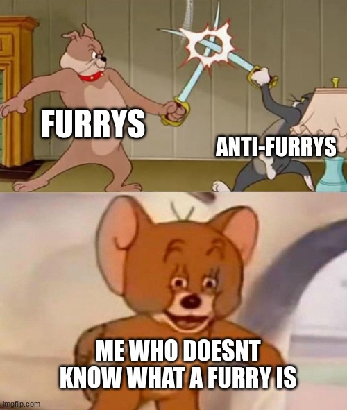 seriously what is it | FURRYS; ANTI-FURRYS; ME WHO DOESNT KNOW WHAT A FURRY IS | image tagged in tom and jerry swordfight,funny,funny memes,funny meme | made w/ Imgflip meme maker