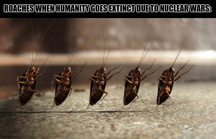 ROACHES WHEN HUMANITY GOES EXTINCT DUE TO NUCLEAR WARS: | image tagged in memes,roach,wars | made w/ Imgflip meme maker