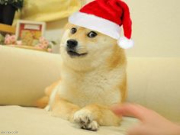 Christmas Doge | image tagged in christmas doge | made w/ Imgflip meme maker
