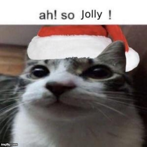 jolly cat | image tagged in jolly cat | made w/ Imgflip meme maker