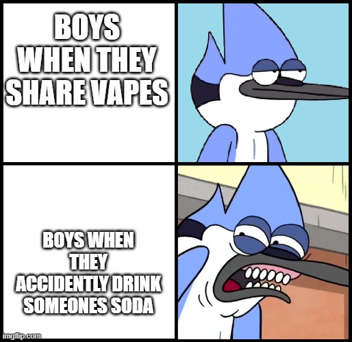 Mordecai disgusted | BOYS WHEN THEY SHARE VAPES; BOYS WHEN THEY ACCIDENTLY DRINK SOMEONES SODA | image tagged in mordecai disgusted | made w/ Imgflip meme maker