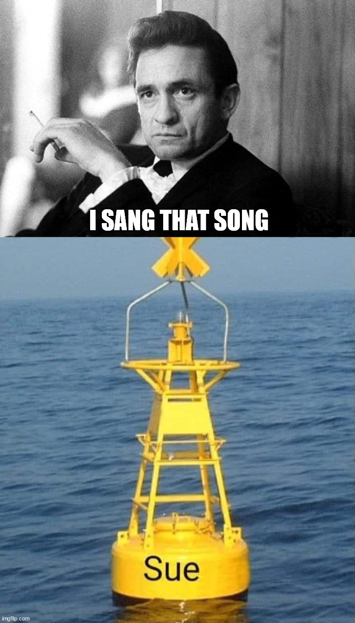 I SANG THAT SONG | image tagged in johnny cash,eye roll | made w/ Imgflip meme maker