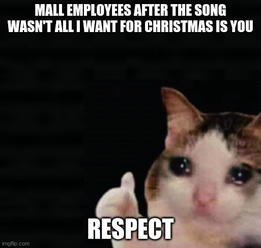 the true heroes | MALL EMPLOYEES AFTER THE SONG WASN'T ALL I WANT FOR CHRISTMAS IS YOU; RESPECT | image tagged in thumbs up crying cat | made w/ Imgflip meme maker