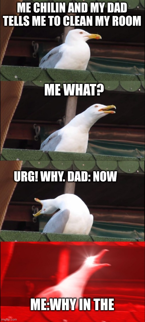 Inhaling Seagull | ME CHILIN AND MY DAD TELLS ME TO CLEAN MY ROOM; ME WHAT? URG! WHY. DAD: NOW; ME:WHY IN THE | image tagged in memes,inhaling seagull | made w/ Imgflip meme maker