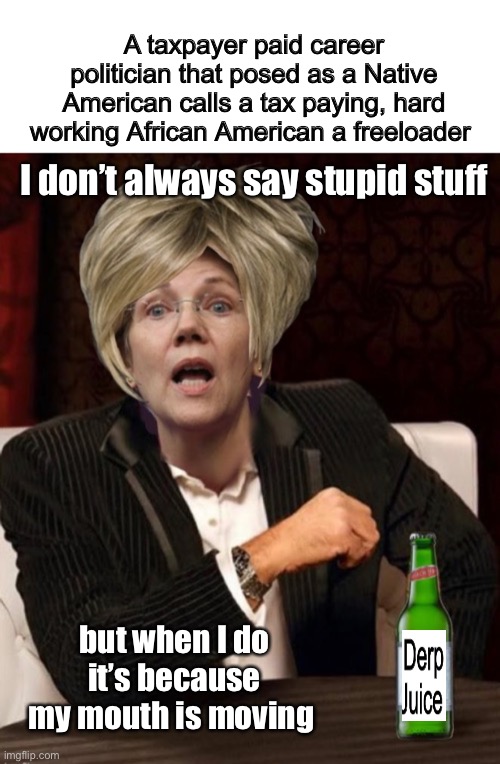 Can’t be any windows left in her glass house. | A taxpayer paid career politician that posed as a Native American calls a tax paying, hard working African American a freeloader; I don’t always say stupid stuff; but when I do it’s because my mouth is moving | image tagged in memes,politics lol,elizabeth warren | made w/ Imgflip meme maker