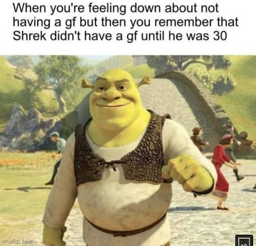 Dont need to feel bad anymore :D | image tagged in shrek,girlfriend | made w/ Imgflip meme maker