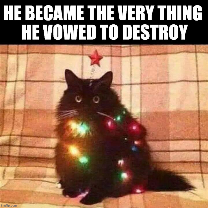 HE BECAME THE VERY THING 
HE VOWED TO DESTROY | image tagged in cats,christmas tree | made w/ Imgflip meme maker