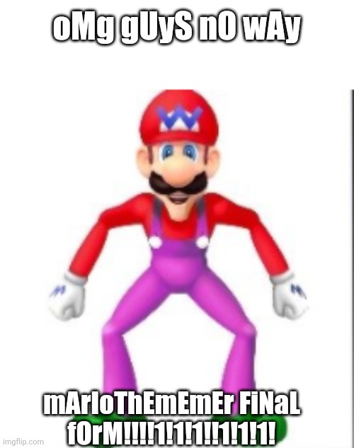 mario | oMg gUyS nO wAy; mArIoThEmEmEr FiNaL fOrM!!!!1!1!1!!1!1!1! | image tagged in mario | made w/ Imgflip meme maker