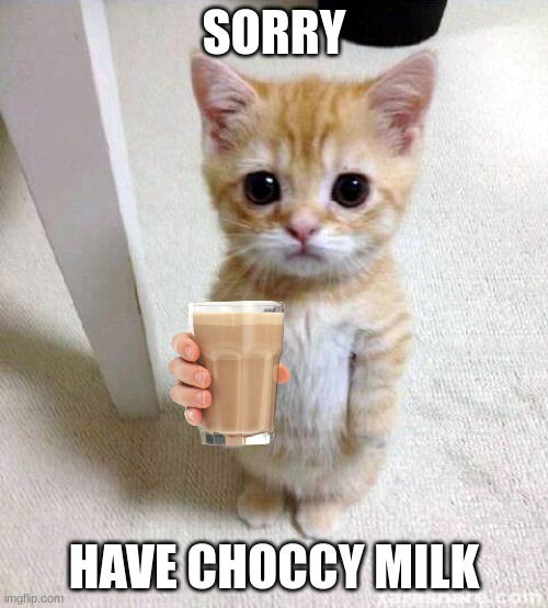 Cute Cat Meme | SORRY; HAVE CHOCCY MILK | image tagged in memes,cute cat | made w/ Imgflip meme maker