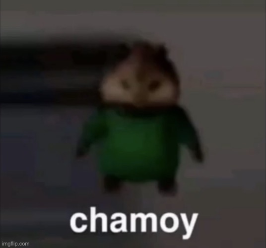 Chamoy | image tagged in chamoy | made w/ Imgflip meme maker