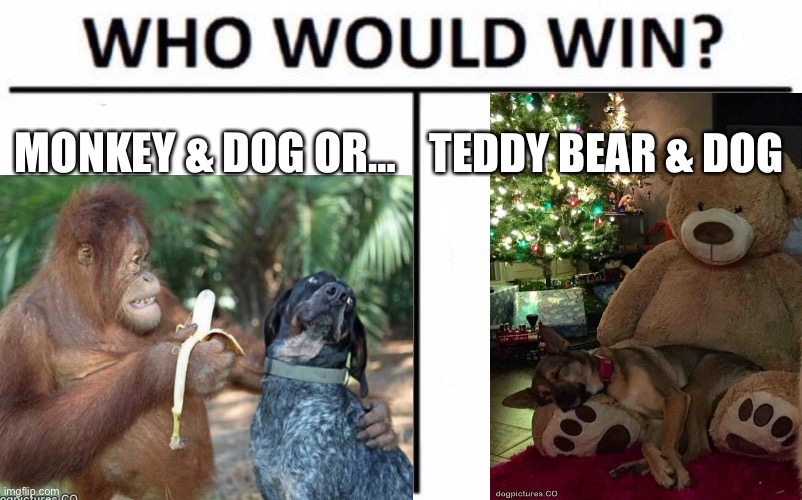 Dog is are is are are good | MONKEY & DOG OR…; TEDDY BEAR & DOG | image tagged in funny dogs | made w/ Imgflip meme maker