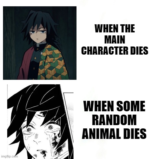 When a random animal dies in a movie | WHEN THE MAIN CHARACTER DIES; WHEN SOME RANDOM ANIMAL DIES | image tagged in normal giyuu and sad giyuu | made w/ Imgflip meme maker