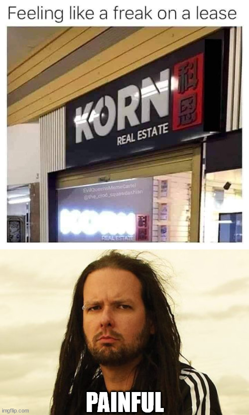 PAINFUL | image tagged in korn,metal | made w/ Imgflip meme maker