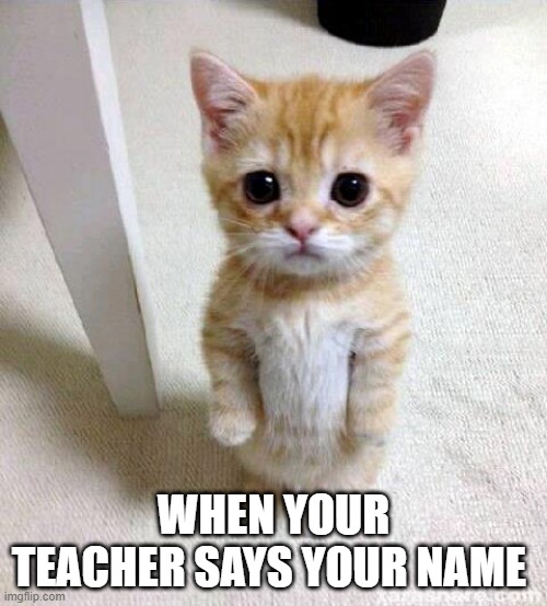 Cute Cat | WHEN YOUR TEACHER SAYS YOUR NAME | image tagged in memes,cute cat | made w/ Imgflip meme maker