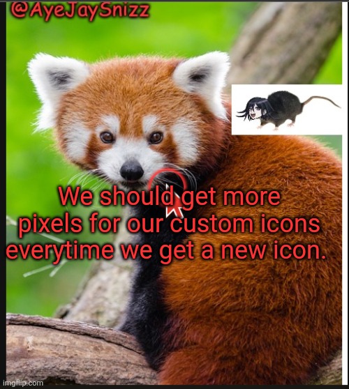 Yes | We should get more pixels for our custom icons everytime we get a new icon. | image tagged in ayejaysnizz red panda announcement | made w/ Imgflip meme maker