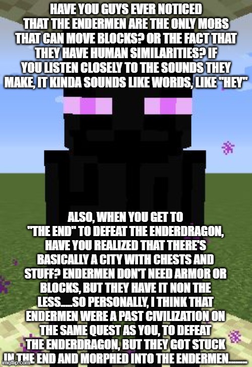 Think about it...... | HAVE YOU GUYS EVER NOTICED THAT THE ENDERMEN ARE THE ONLY MOBS THAT CAN MOVE BLOCKS? OR THE FACT THAT THEY HAVE HUMAN SIMILARITIES? IF YOU LISTEN CLOSELY TO THE SOUNDS THEY MAKE, IT KINDA SOUNDS LIKE WORDS, LIKE "HEY"; ALSO, WHEN YOU GET TO "THE END" TO DEFEAT THE ENDERDRAGON, HAVE YOU REALIZED THAT THERE'S BASICALLY A CITY WITH CHESTS AND STUFF? ENDERMEN DON'T NEED ARMOR OR BLOCKS, BUT THEY HAVE IT NON THE LESS.....SO PERSONALLY, I THINK THAT ENDERMEN WERE A PAST CIVILIZATION ON THE SAME QUEST AS YOU, TO DEFEAT THE ENDERDRAGON, BUT THEY GOT STUCK IN THE END AND MORPHED INTO THE ENDERMEN........ | image tagged in enderman,theory,idk,random bullshit go | made w/ Imgflip meme maker
