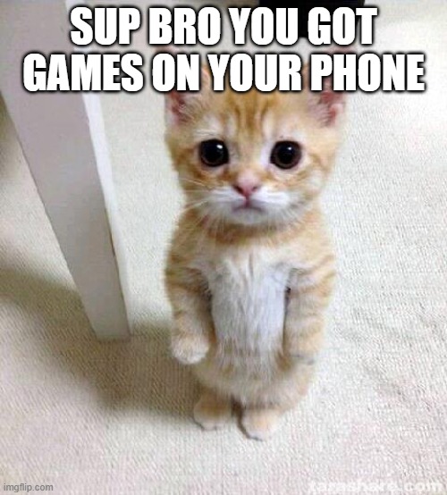 you got games on your phone | SUP BRO YOU GOT GAMES ON YOUR PHONE | image tagged in memes,cute cat | made w/ Imgflip meme maker