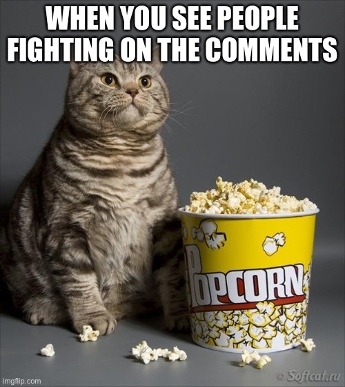 Cat eating popcorn |  WHEN YOU SEE PEOPLE FIGHTING ON THE COMMENTS | image tagged in cat eating popcorn | made w/ Imgflip meme maker