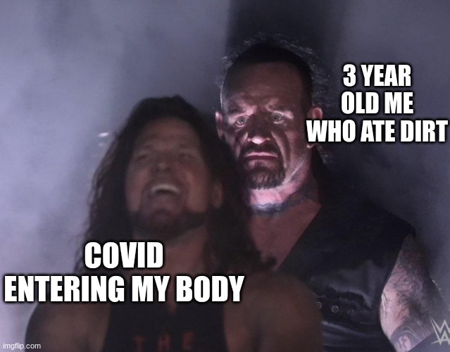 undertaker | 3 YEAR OLD ME WHO ATE DIRT; COVID ENTERING MY BODY | image tagged in undertaker | made w/ Imgflip meme maker