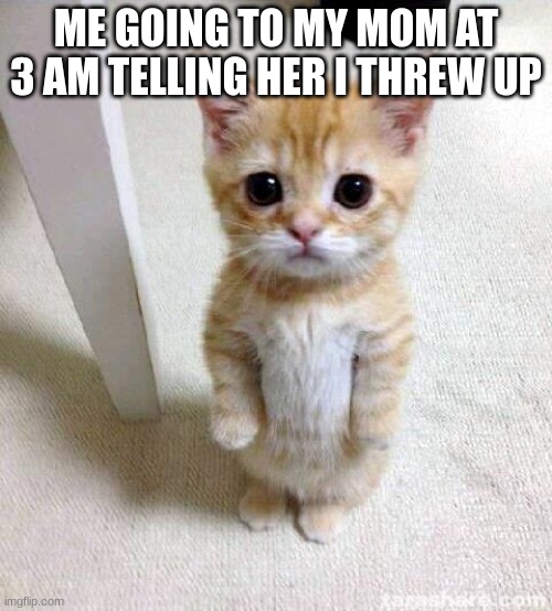 mom i threw up | ME GOING TO MY MOM AT 3 AM TELLING HER I THREW UP | image tagged in memes,cute cat,viral meme,kid | made w/ Imgflip meme maker