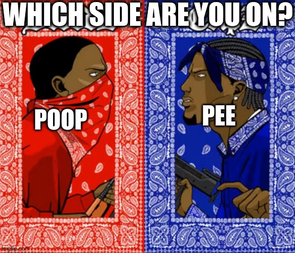 Blood Or Crip | WHICH SIDE ARE YOU ON? PEE; POOP | image tagged in blood or crip | made w/ Imgflip meme maker