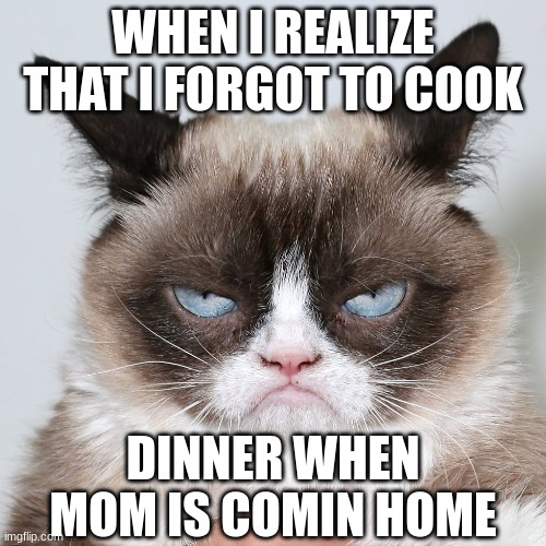 When Moms Not Home | WHEN I REALIZE THAT I FORGOT TO COOK; DINNER WHEN MOM IS COMIN HOME | image tagged in memes,cats,funny cats,reality,funny memes | made w/ Imgflip meme maker