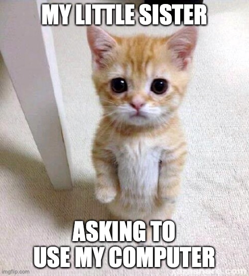 lil sis pull out the cat eyes | MY LITTLE SISTER; ASKING TO USE MY COMPUTER | image tagged in memes,cute cat,computer,best memes,funny memes,sister | made w/ Imgflip meme maker