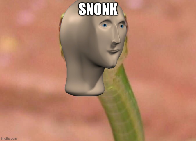 snank |  SNONK | image tagged in skeptical snake | made w/ Imgflip meme maker