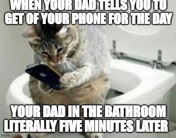 When your told to get off your phone but... | WHEN YOUR DAD TELLS YOU TO GET OF YOUR PHONE FOR THE DAY; YOUR DAD IN THE BATHROOM LITERALLY FIVE MINUTES LATER | image tagged in memes,funny memes,cats,reality | made w/ Imgflip meme maker
