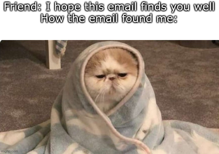the email is NTR | Friend: I hope this email finds you well

How the email found me: | image tagged in poor,kitty | made w/ Imgflip meme maker