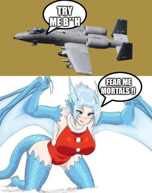 * BRRRT  noises intensifies*   | TRY ME B**H; FEAR ME MORTALS !! | image tagged in brrrrrrrt | made w/ Imgflip meme maker