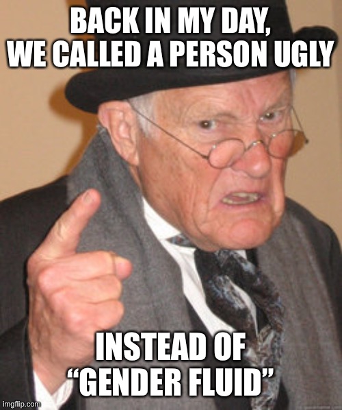 When they’re an undesirable specimen | BACK IN MY DAY, WE CALLED A PERSON UGLY; INSTEAD OF “GENDER FLUID” | image tagged in memes,back in my day,gender fluid,transgender | made w/ Imgflip meme maker
