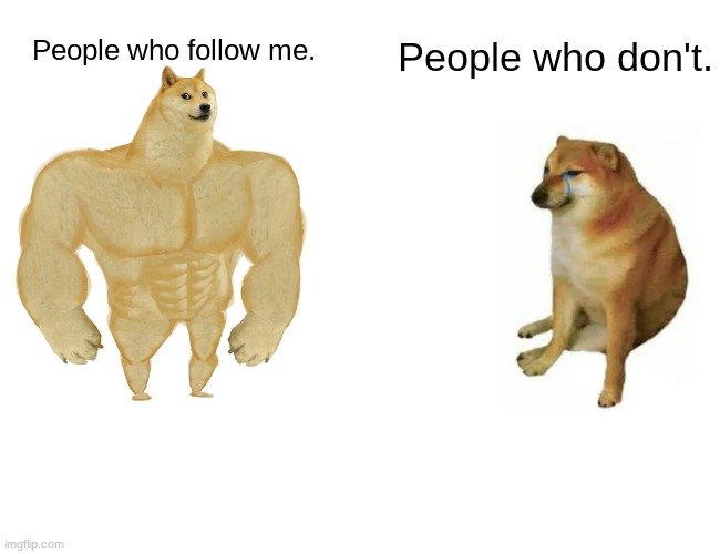 Iddddddk | People who follow me. People who don't. | image tagged in idk | made w/ Imgflip meme maker