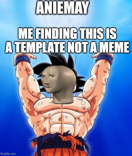 Aniemay | ME FINDING THIS IS A TEMPLATE NOT A MEME | image tagged in aniemay | made w/ Imgflip meme maker