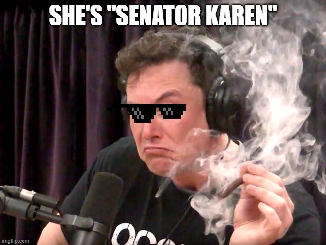 Elon Musk Weed | SHE'S "SENATOR KAREN" | image tagged in elon musk weed | made w/ Imgflip meme maker