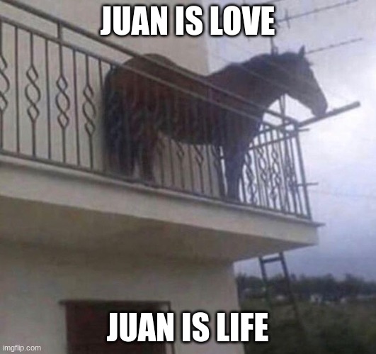 Juan. | JUAN IS LOVE; JUAN IS LIFE | image tagged in juan | made w/ Imgflip meme maker