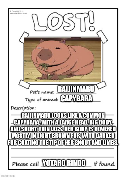 Capybara Enthusiast - Are you a true Capybara lover? Answer this question  👇🏼 Want a Capybara of your own? Click the link in my bio for Capybara  Merch! @capybarasenthusiasts Follow for more✨