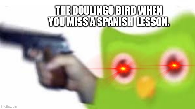 Doulingo | THE DOULINGO BIRD WHEN YOU MISS A SPANISH  LESSON. | image tagged in lol | made w/ Imgflip meme maker