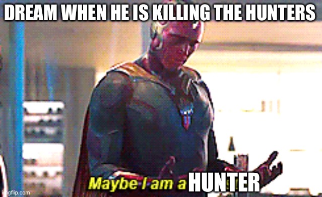 Maybe I am a monster | DREAM WHEN HE IS KILLING THE HUNTERS; HUNTER | image tagged in maybe i am a monster | made w/ Imgflip meme maker