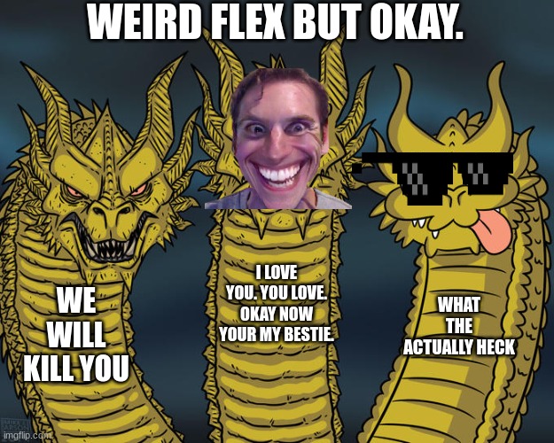 weird flex but okay | WEIRD FLEX BUT OKAY. I LOVE YOU. YOU LOVE. OKAY NOW YOUR MY BESTIE. WE WILL KILL YOU; WHAT THE ACTUALLY HECK | image tagged in three-headed dragon | made w/ Imgflip meme maker