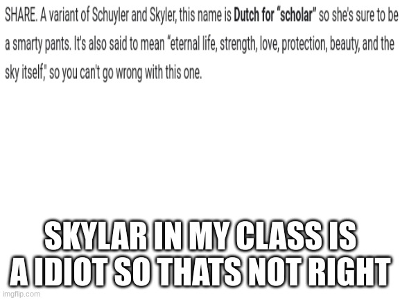 hes a bully | SKYLAR IN MY CLASS IS A IDIOT SO THATS NOT RIGHT | image tagged in blank white template | made w/ Imgflip meme maker