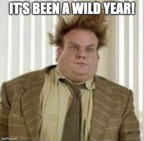 Wild hair | IT'S BEEN A WILD YEAR! | image tagged in wild hair | made w/ Imgflip meme maker